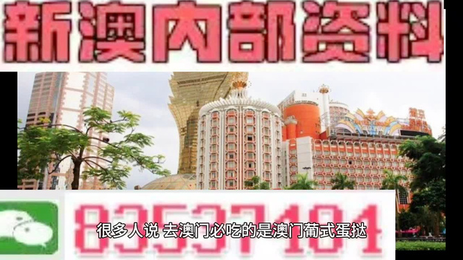 新澳門內(nèi)部碼精準(zhǔn)公開(kāi)的多元解讀，新澳門內(nèi)部碼精準(zhǔn)公開(kāi)的多元解讀與探討