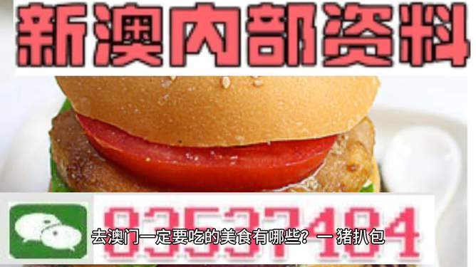 新門內(nèi)部資料精準(zhǔn)大全，一網(wǎng)打盡所有你需要知道的資訊，新門內(nèi)部資料大全，一網(wǎng)打盡所有必備資訊