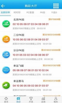 澳門免費(fèi)資料大全，探索多元文化資源的寶庫，澳門多元文化資源的寶庫，免費(fèi)資料大全探索之旅