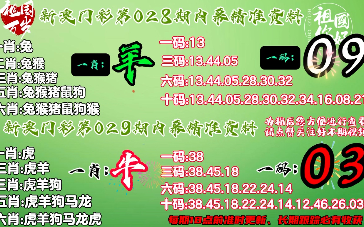 新澳門今晚一肖中特之夜的獨特魅力，新澳門一肖中特之夜的獨特魅力風(fēng)采