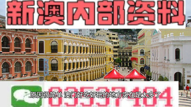 新澳門內(nèi)部精準(zhǔn)公開的多元魅力與發(fā)展，澳門多元魅力與發(fā)展揭秘，內(nèi)部精準(zhǔn)公開的全新面貌