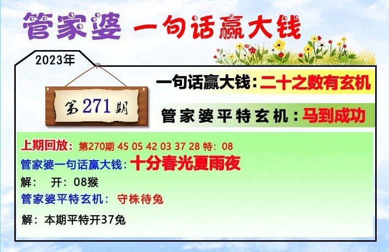 揭秘202管家婆一肖一碼，揭秘彩票背后的秘密，揭秘彩票背后的秘密，探究管家婆一肖一碼的神秘面紗