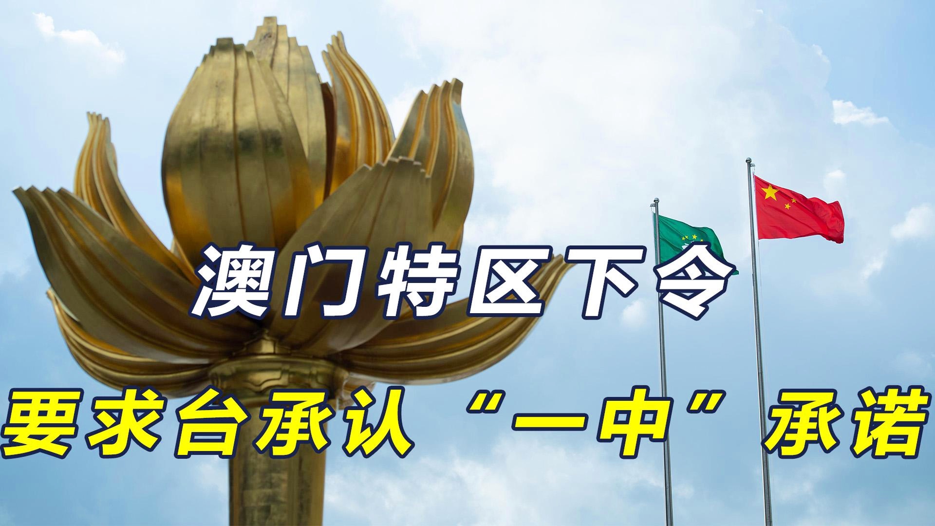 澳門一碼一肖一待一中今晚，澳門今晚一碼一肖一待一中揭曉