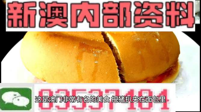 澳門最精準(zhǔn)免費(fèi)資料大全特色，澳門最全免費(fèi)資料大全特色解析