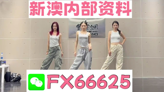 一碼一肖一特早出晚，探尋數(shù)字背后的故事，探尋數(shù)字背后的故事，一碼一肖一特早出晚的神秘面紗