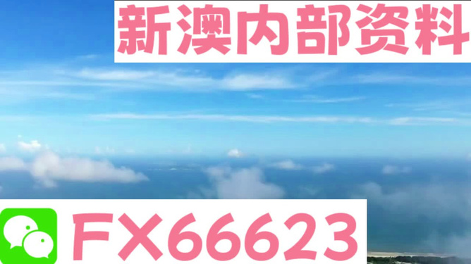 新澳全年免費資料大全，一網(wǎng)打盡各類資源，新澳全年免費資料大全，各類資源一網(wǎng)打盡