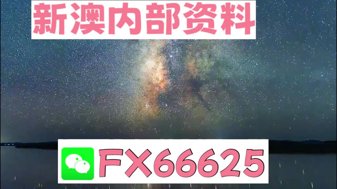新澳天天開獎資料大全，一網打盡彩票資訊，新澳天天開獎資料大全，一網打盡彩票資訊匯總