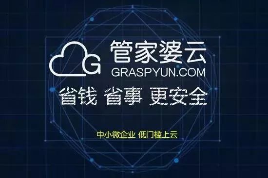 揭秘管家婆一碼一肖，神秘面紗背后的真相，揭秘管家婆一碼一肖，神秘面紗背后的真相探秘