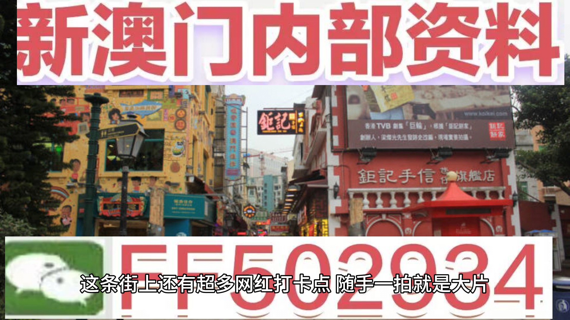 2025正版澳門跑狗圖最新版今天——深度解析與預(yù)測，澳門跑狗圖深度解析與預(yù)測，探索最新正版圖版趨勢（2025年）