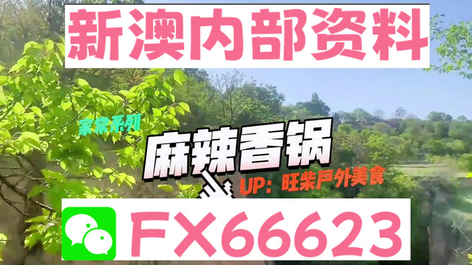 新澳精準(zhǔn)資料，探索與解讀，新澳精準(zhǔn)資料，深度探索與解讀