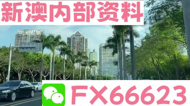 新澳精準資料免費提供，探索第510期的奧秘，新澳精準資料免費分享，揭秘第510期奧秘