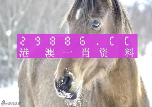 澳門一肖一碼百分百精準(zhǔn)預(yù)測(cè)——揭秘彩票背后的秘密，澳門彩票預(yù)測(cè)揭秘，一肖一碼百分百精準(zhǔn)背后的秘密