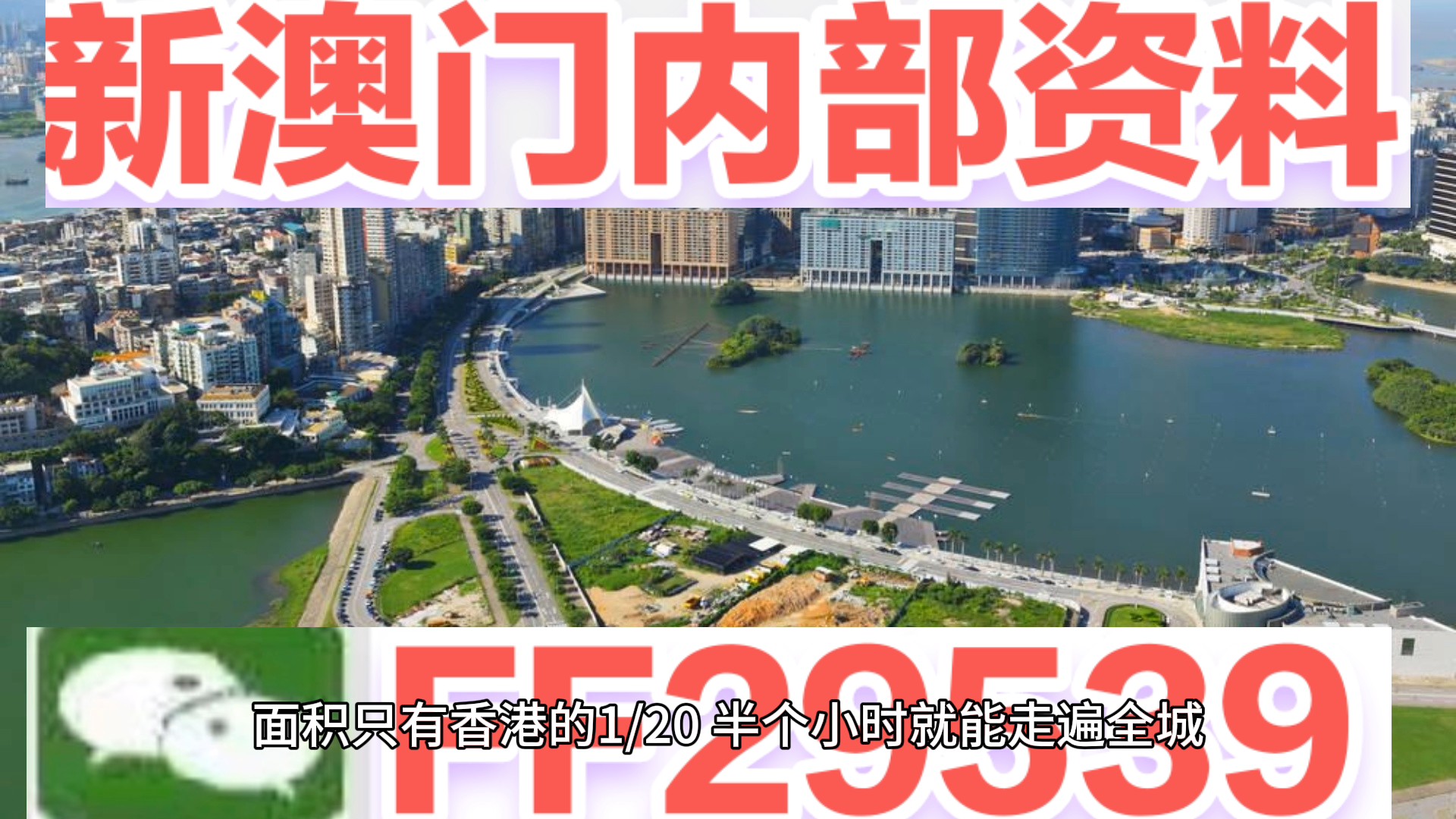 探索澳門風(fēng)采，2025年生肖預(yù)測與今晚的神秘面紗，澳門風(fēng)采探索，生肖預(yù)測與神秘面紗揭曉之夜