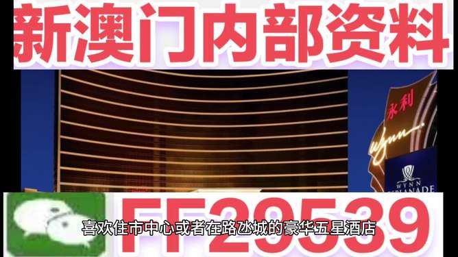 揭秘4949澳門今晚開獎(jiǎng)，熱門網(wǎng)絡(luò)語言下的彩票熱潮，揭秘彩票熱潮，4949澳門今晚開獎(jiǎng)與熱門網(wǎng)絡(luò)語言的交織