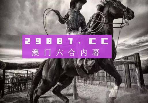 澳門正版精準免費大全，一網打盡各類資訊，澳門正版精準資訊大全，一網打盡各類最新資訊