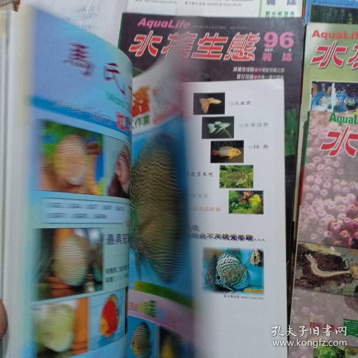 澳門王中王100%期期中一期，揭秘彩票背后的秘密，澳門王中王彩票揭秘，期期中背后的秘密真相探索