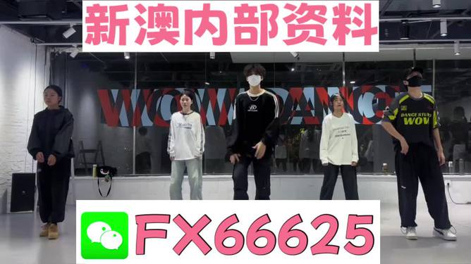 新澳門特免費大全，探索與揭秘，新澳門特免費大全，探索之旅與揭秘之旅