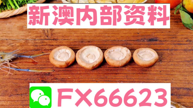 新澳全年免費資料大全，一網(wǎng)打盡各類資源，新澳全年免費資料大全，各類資源一網(wǎng)打盡
