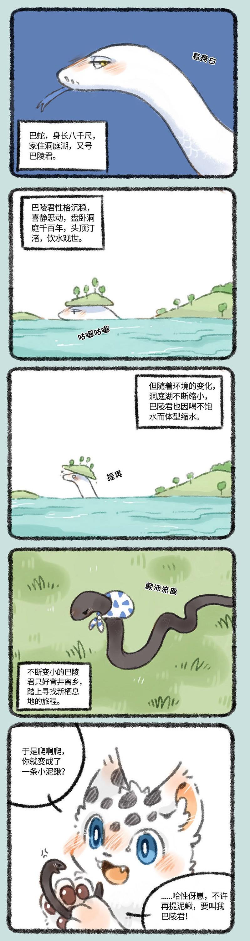 四不像正版，探尋網(wǎng)絡時代的正版新定義，網(wǎng)絡時代下的正版新定義探尋，四不像正版揭秘