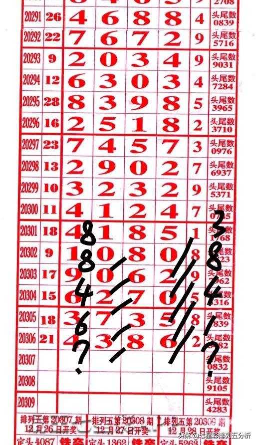 四肖八碼中大獎，揭秘彩票背后的秘密與幸運之路，揭秘四肖八碼彩票背后的幸運之路與大獎秘密