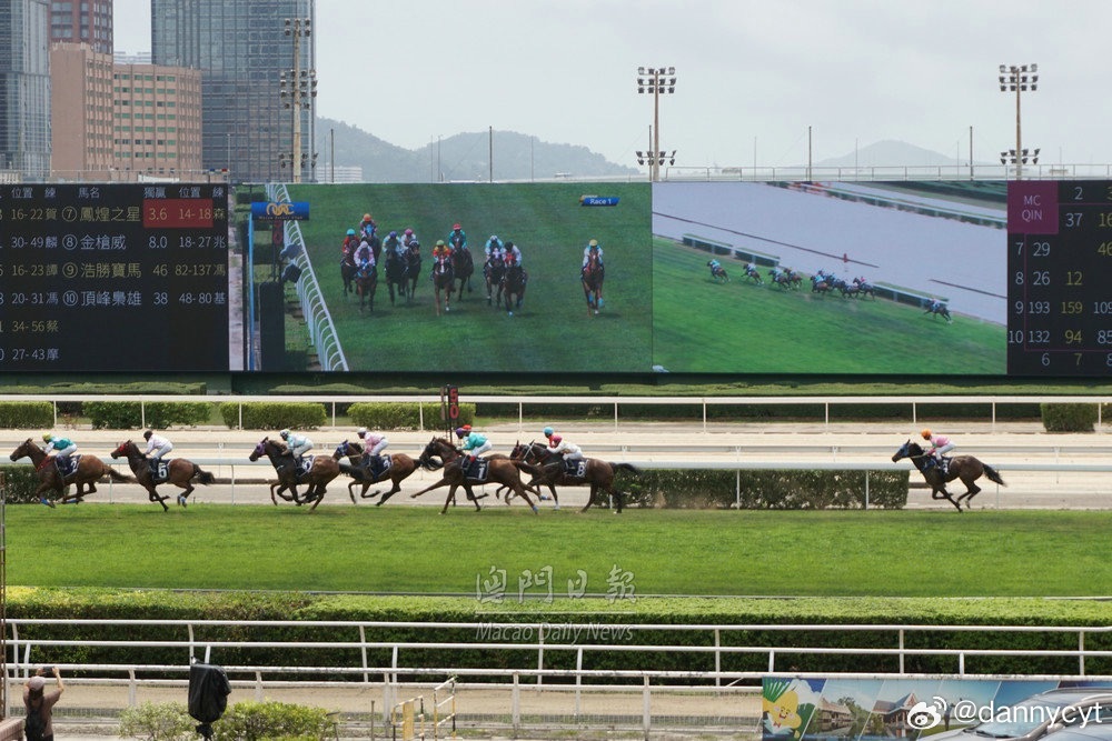 2025新澳門今晚開特馬直播——探索未來的新澳門，探索未來新澳門，特馬直播之夜