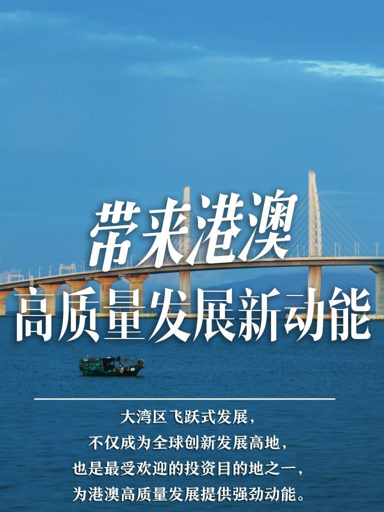 探索未來之門，2025新澳門精準免費大全，探索未來之門，2025新澳門精準免費大全概覽
