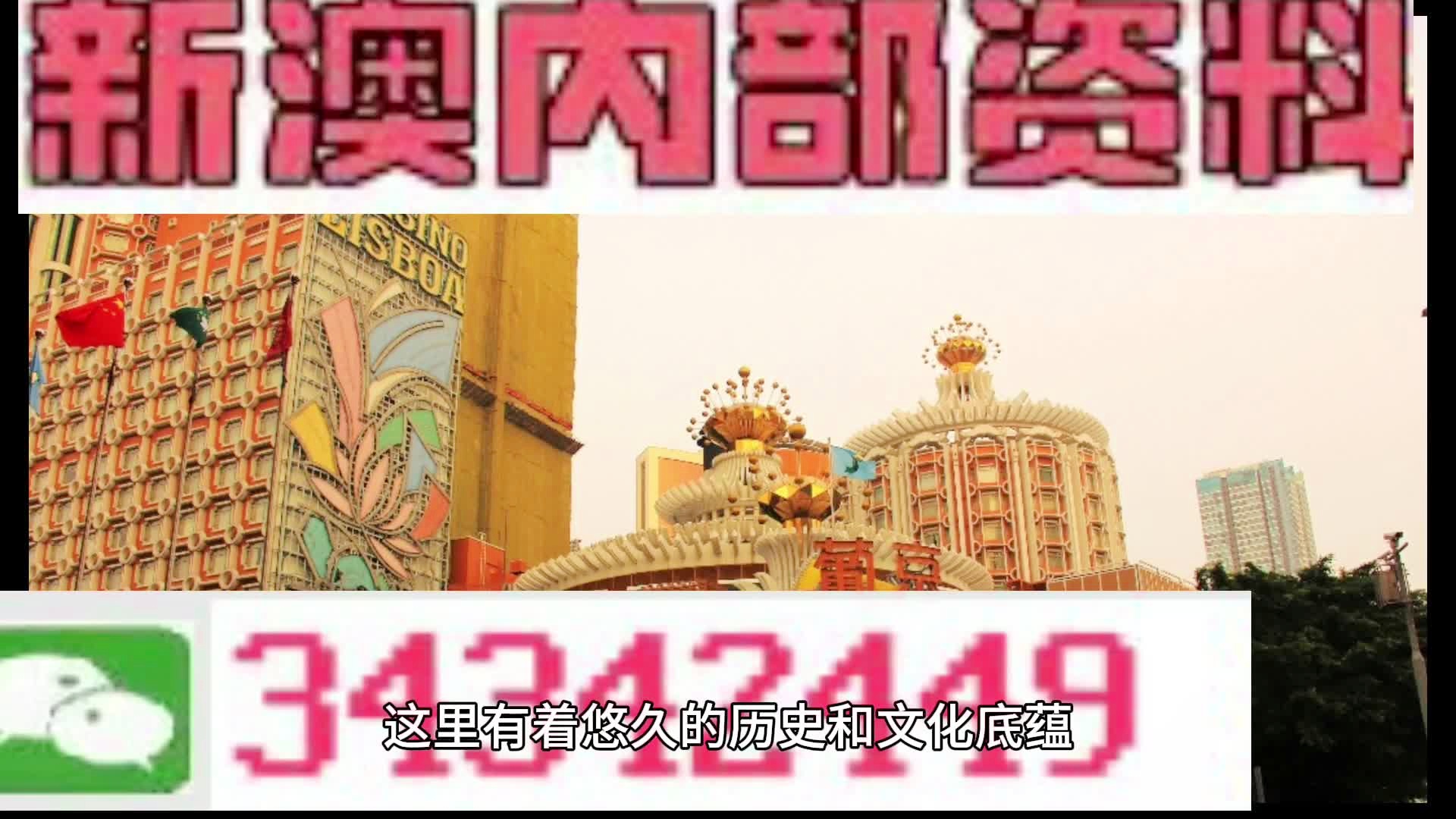 2025年澳門免費(fèi)資料大全特色展望，澳門未來展望，特色免費(fèi)資料大全（至2025年）